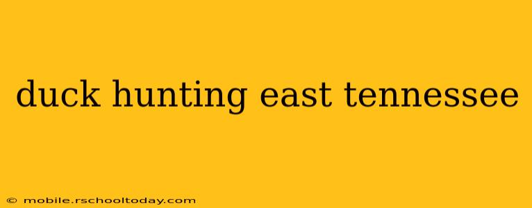 duck hunting east tennessee