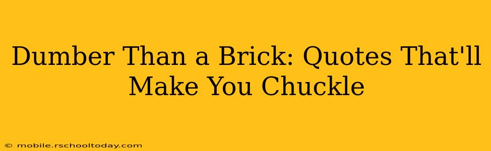 Dumber Than a Brick: Quotes That'll Make You Chuckle