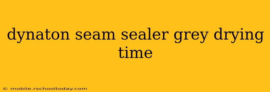dynaton seam sealer grey drying time
