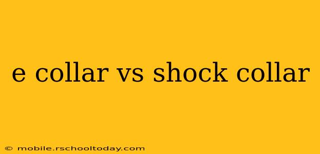 e collar vs shock collar
