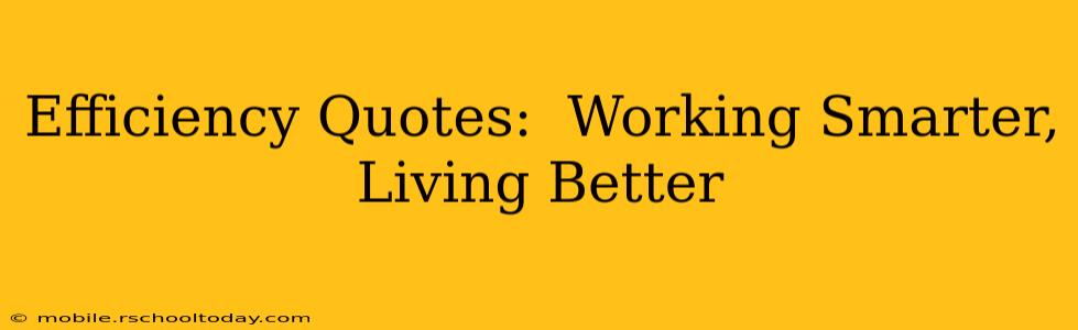 Efficiency Quotes:  Working Smarter, Living Better