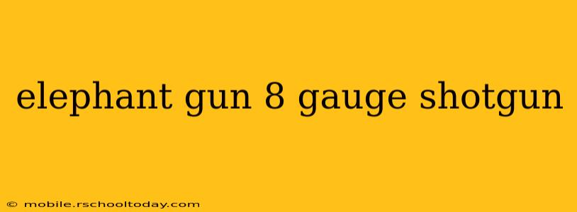 elephant gun 8 gauge shotgun