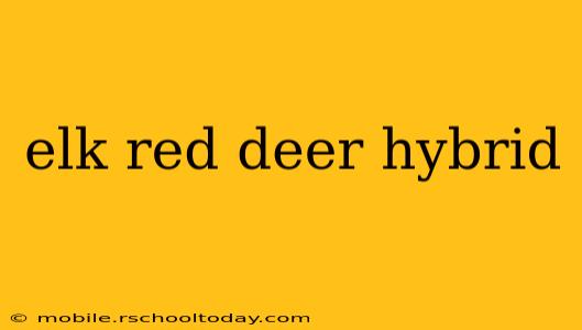 elk red deer hybrid