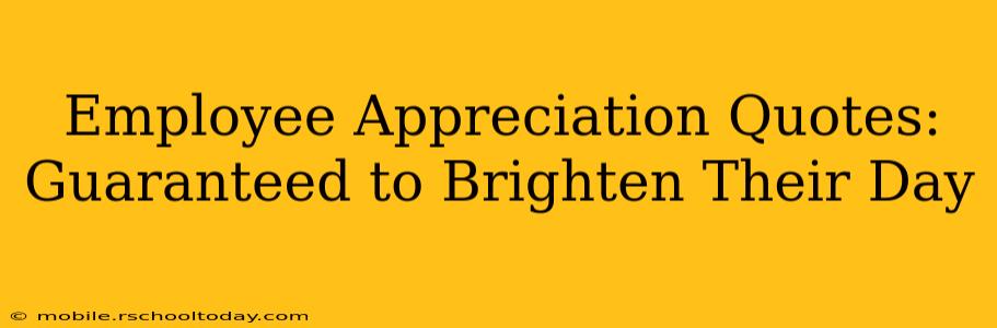 Employee Appreciation Quotes: Guaranteed to Brighten Their Day
