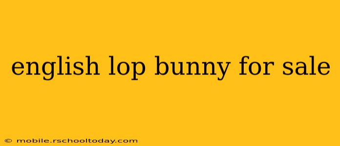 english lop bunny for sale