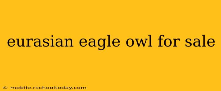 eurasian eagle owl for sale