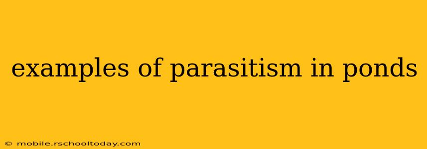 examples of parasitism in ponds