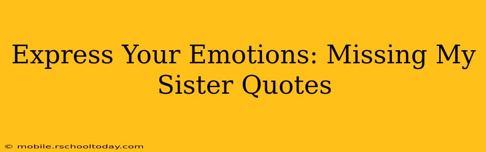 Express Your Emotions: Missing My Sister Quotes