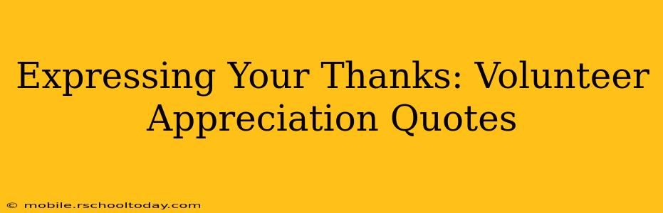 Expressing Your Thanks: Volunteer Appreciation Quotes