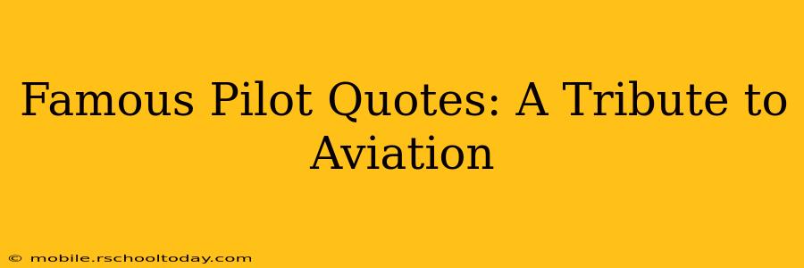 Famous Pilot Quotes: A Tribute to Aviation