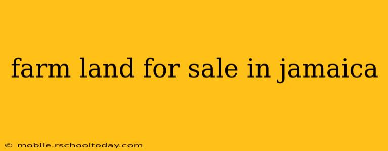 farm land for sale in jamaica