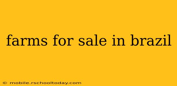 farms for sale in brazil