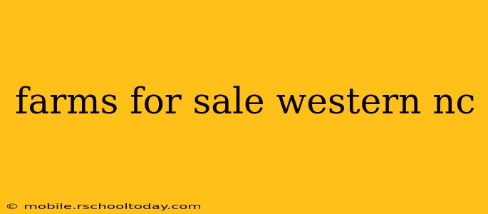 farms for sale western nc
