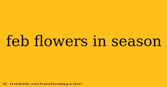 feb flowers in season