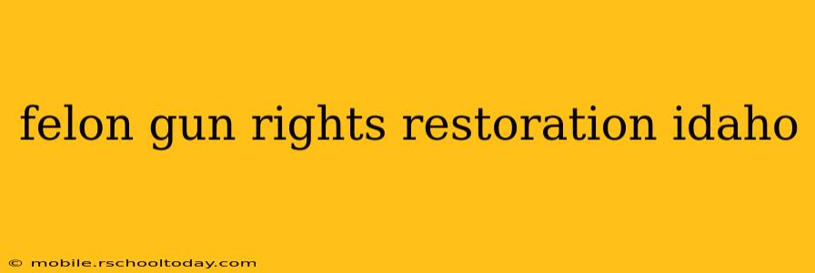 felon gun rights restoration idaho