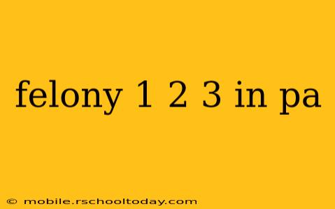 felony 1 2 3 in pa