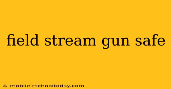 field stream gun safe