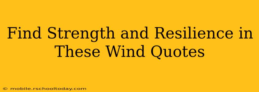 Find Strength and Resilience in These Wind Quotes