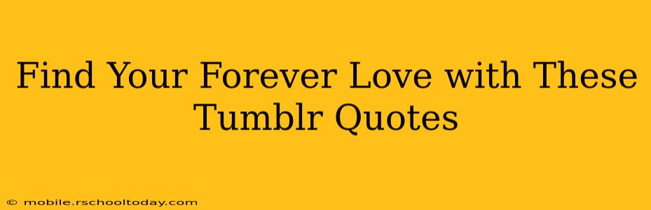 Find Your Forever Love with These Tumblr Quotes