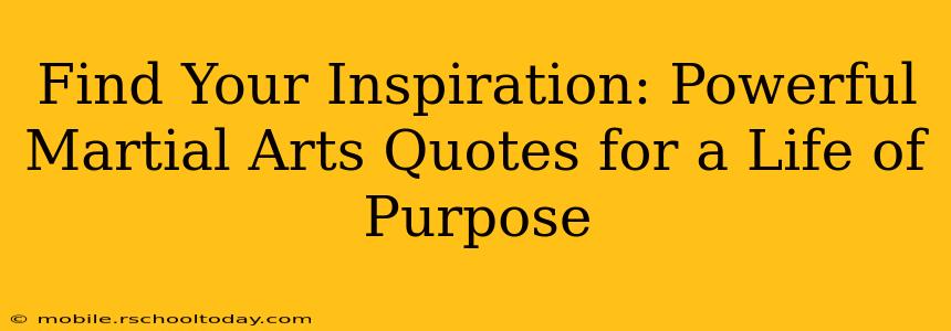 Find Your Inspiration: Powerful Martial Arts Quotes for a Life of Purpose