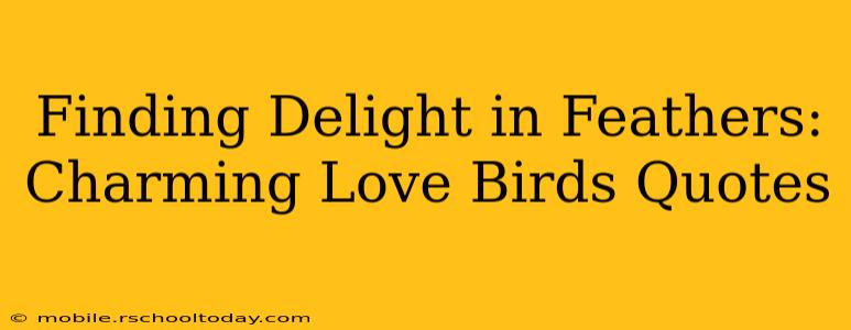 Finding Delight in Feathers: Charming Love Birds Quotes