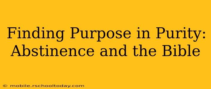 Finding Purpose in Purity: Abstinence and the Bible