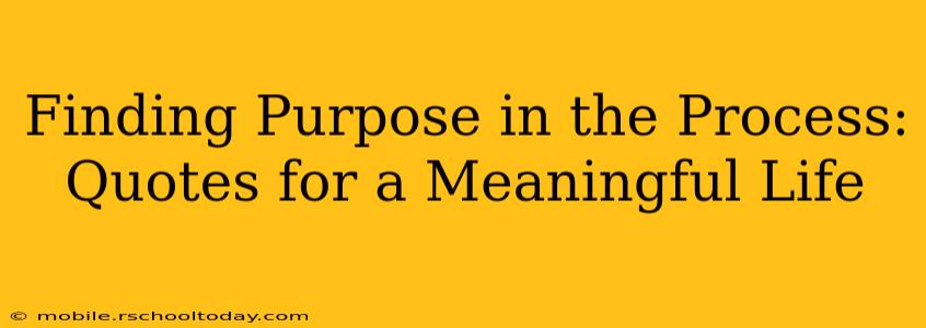 Finding Purpose in the Process: Quotes for a Meaningful Life