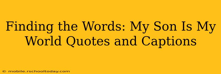 Finding the Words: My Son Is My World Quotes and Captions