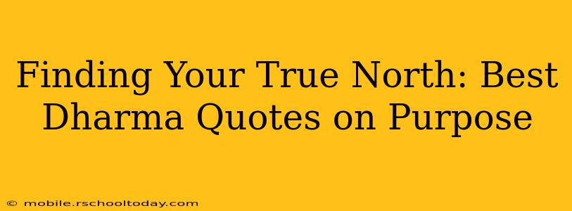 Finding Your True North: Best Dharma Quotes on Purpose