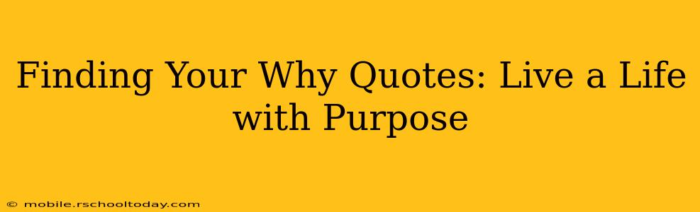 Finding Your Why Quotes: Live a Life with Purpose