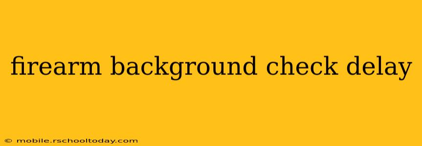 firearm background check delay