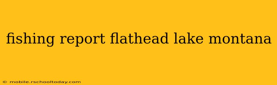 fishing report flathead lake montana