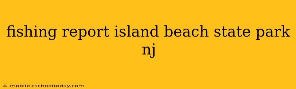 fishing report island beach state park nj