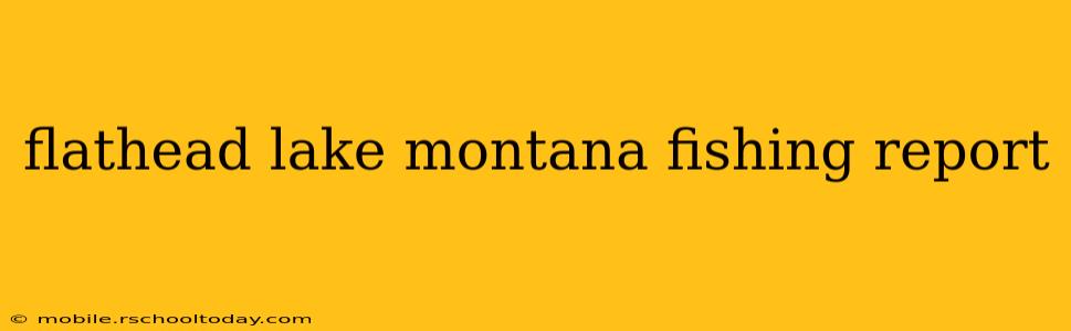 flathead lake montana fishing report