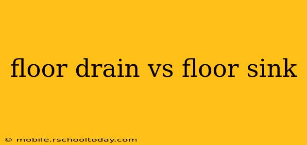 floor drain vs floor sink