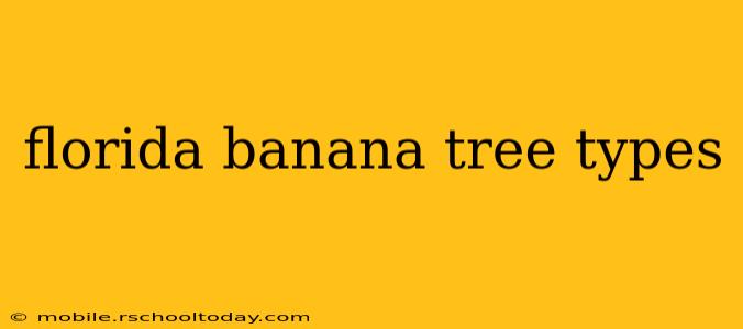 florida banana tree types