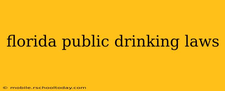 florida public drinking laws