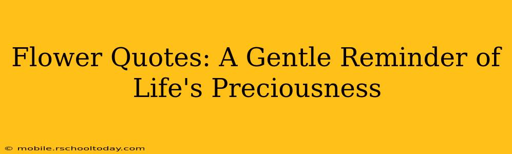 Flower Quotes: A Gentle Reminder of Life's Preciousness