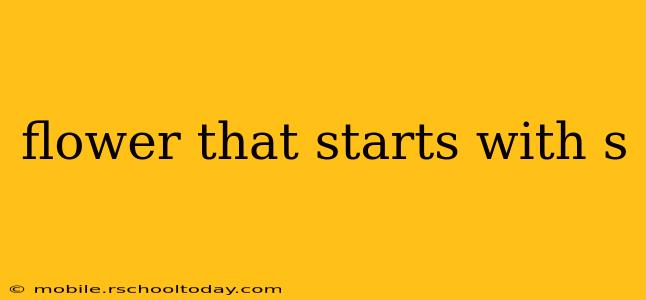 flower that starts with s