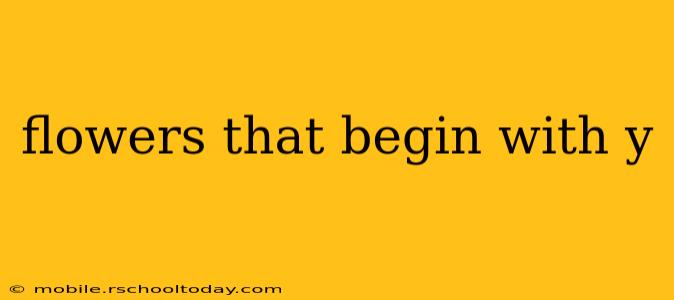 flowers that begin with y