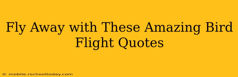 Fly Away with These Amazing Bird Flight Quotes