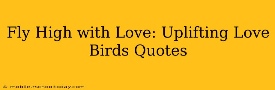 Fly High with Love: Uplifting Love Birds Quotes