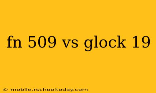 fn 509 vs glock 19