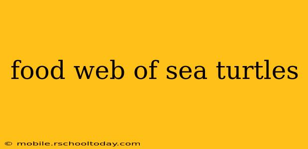 food web of sea turtles