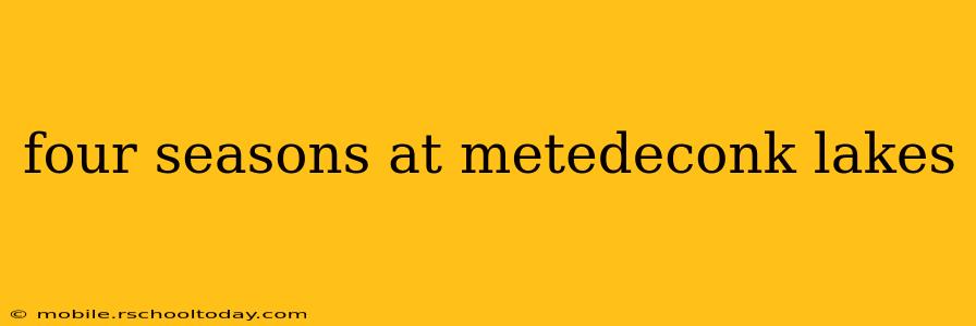four seasons at metedeconk lakes