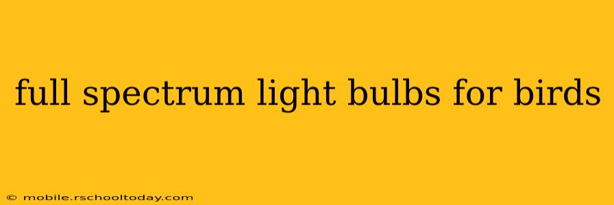full spectrum light bulbs for birds