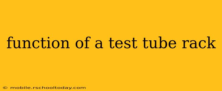 function of a test tube rack