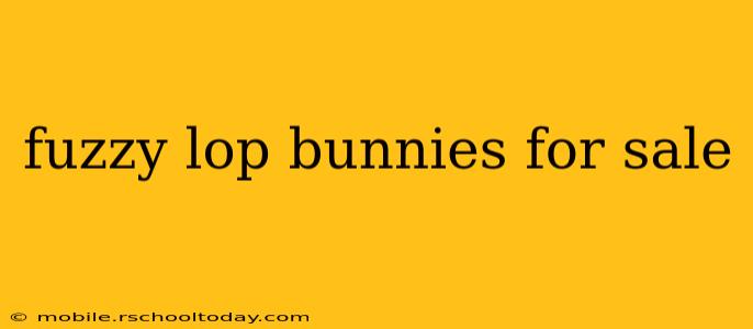 fuzzy lop bunnies for sale