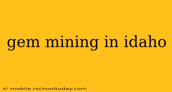 gem mining in idaho