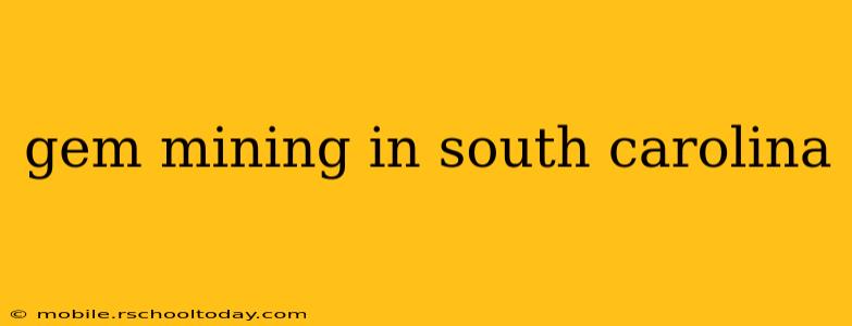 gem mining in south carolina